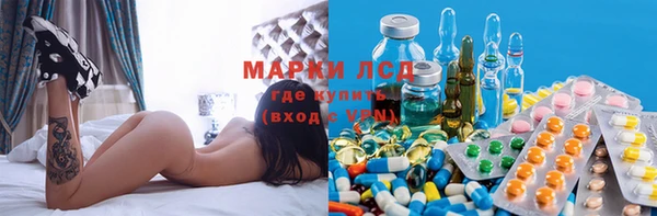 PSILOCYBIN Богданович
