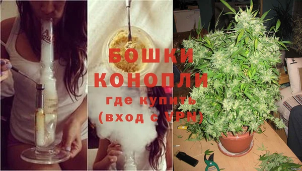 PSILOCYBIN Богородск