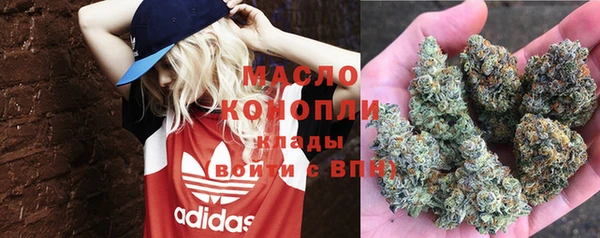 дурь Сатка