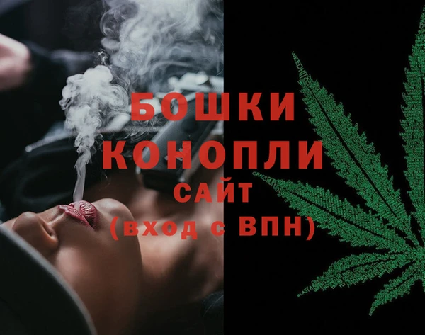 PSILOCYBIN Богородск