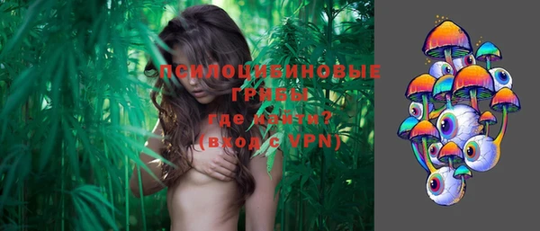 apvp Бронницы