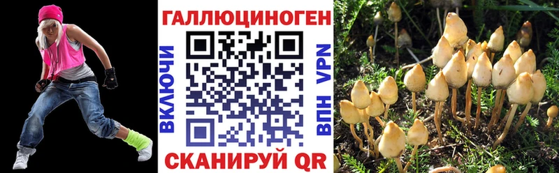hydra ссылка  Туймазы  Псилоцибиновые грибы прущие грибы 